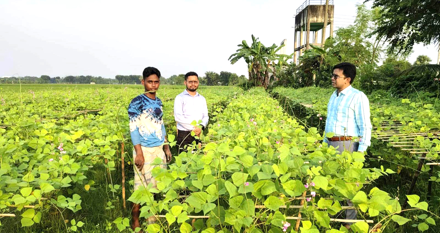 আগাম শীতকালীন সবজি চাষে ব্যস্ত কৃষকরা, পবা উপজেলা কৃষি অফিসের পরামর্শে দেখছেন সফলতার মুখ