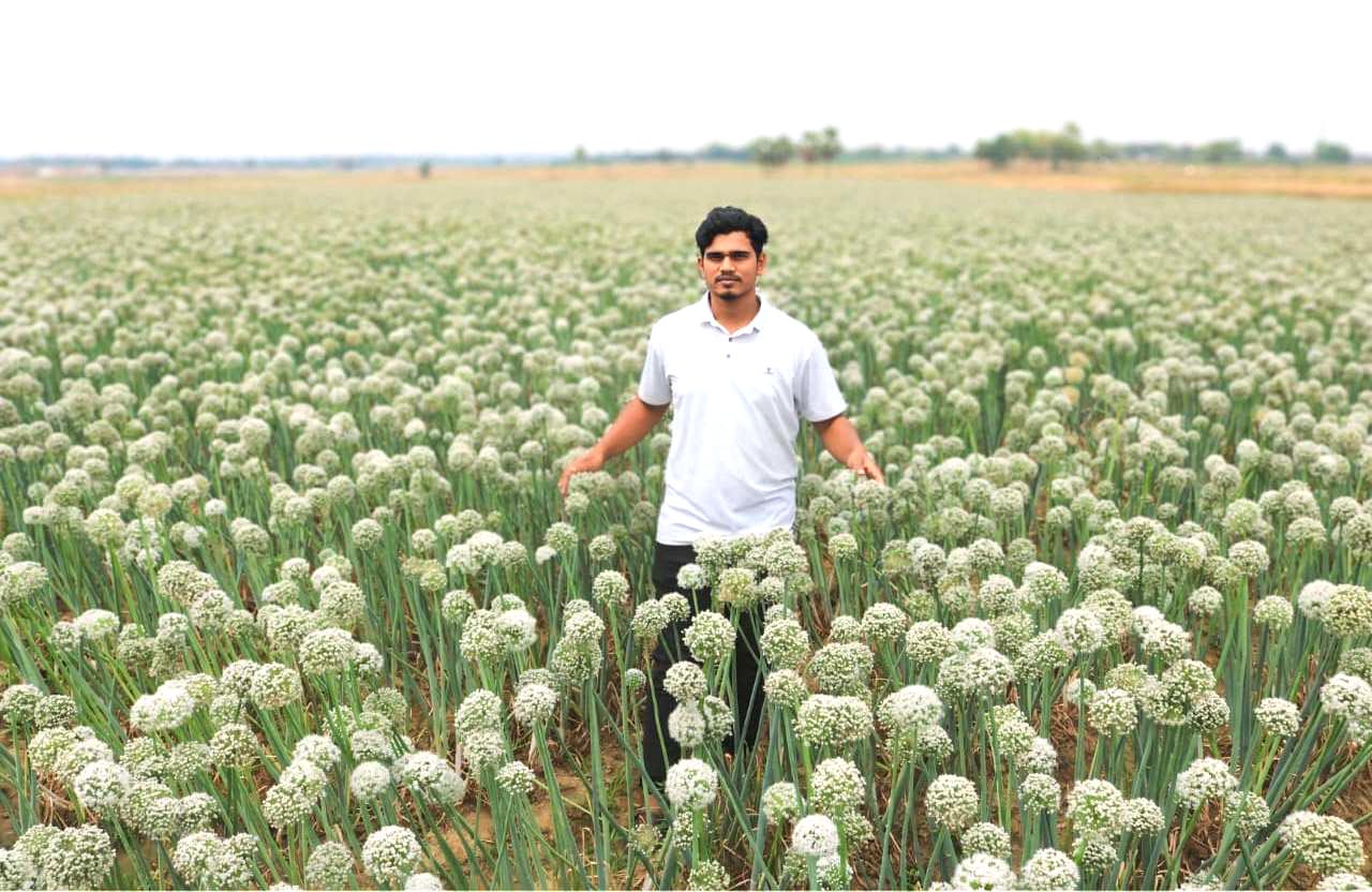 গোদাগাড়ীতে পেঁয়াজ বীজে নীরব বিপ্লব তিন দশকের পারিবারিক ঐতিহ্যকে অনন্য উচ্চতায় নিচ্ছেন তরুণ কৃষিবিদ তাসকিন