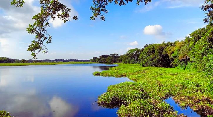 ছবিতে বাংলাদেশে